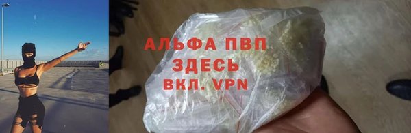 2c-b Пестово