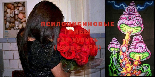 эйфоретик Беломорск