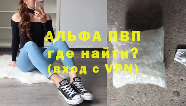 дживик Белокуриха
